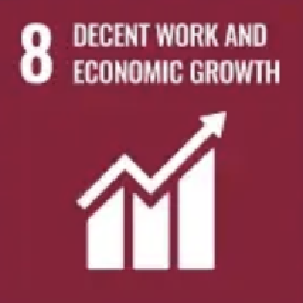 UN SDG 8, Decent Work and Economic Growth