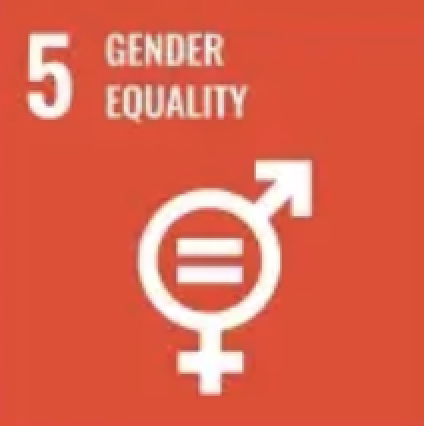 UN SDG 5, Gender Equality